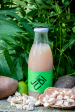 Baobab