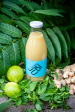 Jus de Gingembre