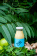 Jus de Gingembre